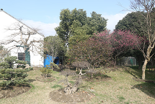 中央空調(diào)安裝