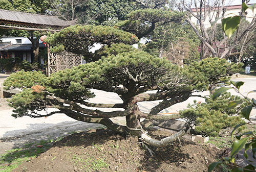 中央空調(diào)安裝