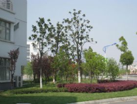 中央空調(diào)維保